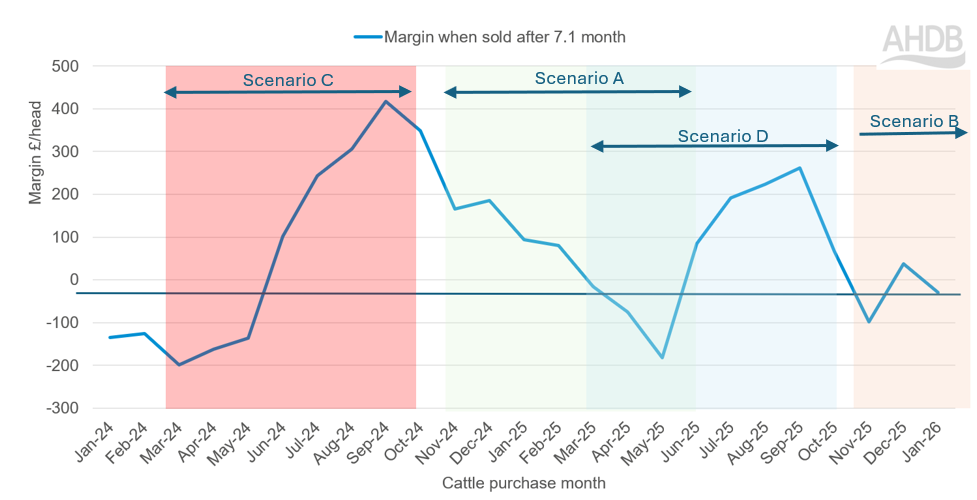 Figure 2 is a line chart showing the gross margin per head.